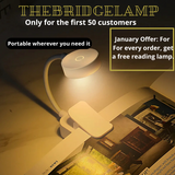 Small Gold LED Table Lamp – Portable and  Rechargeable Design