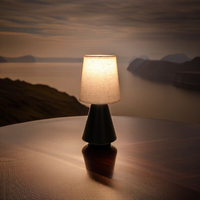 Modern Black Table Lamp